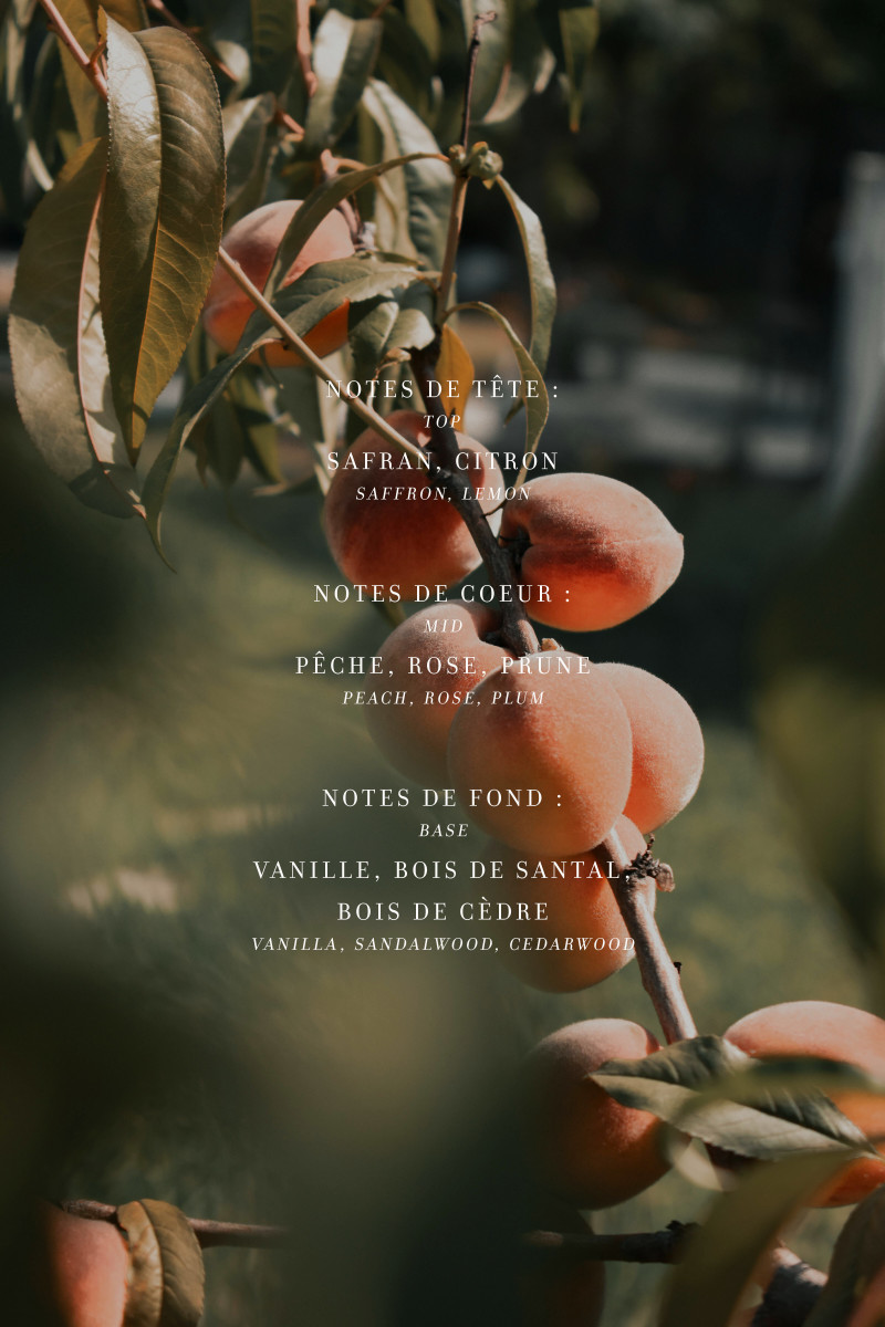 Peach and Safran Candle