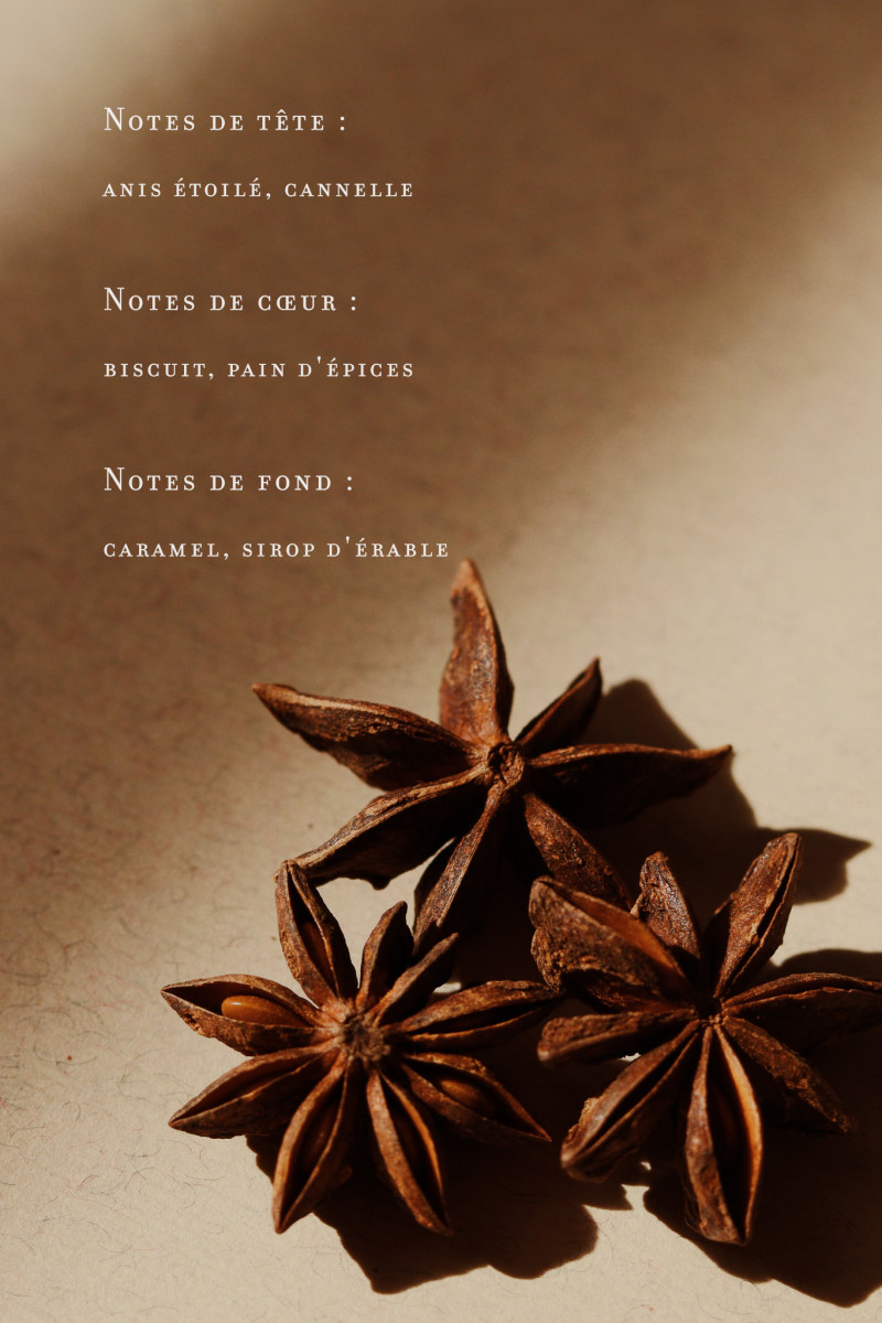 Biscuit et Épices