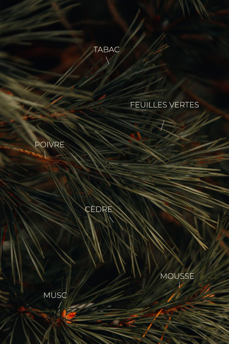 Bougie Cèdre et Poivre